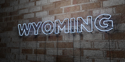 WYOMING - Glowing Neon Sign on stonework wall - 3D rendered royalty free stock illustration.  Can be used for online banner ads and direct mailers..