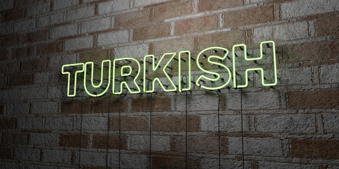 TURKISH - Glowing Neon Sign on stonework wall - 3D rendered royalty free stock illustration.  Can be used for online banner ads and direct mailers..