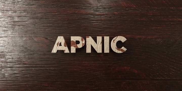 Apnic - grungy wooden headline on Maple  - 3D rendered royalty free stock image. This image can be used for an online website banner ad or a print postcard.