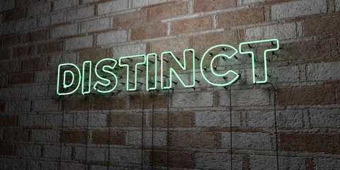 DISTINCT - Glowing Neon Sign on stonework wall - 3D rendered royalty free stock illustration.  Can be used for online banner ads and direct mailers..