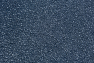 Bright dark blue learher texture.