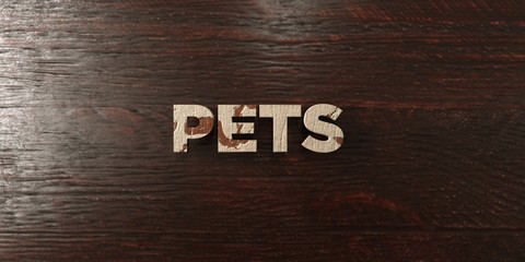 Pets - grungy wooden headline on Maple  - 3D rendered royalty free stock image. This image can be used for an online website banner ad or a print postcard.
