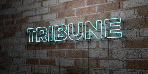 TRIBUNE - Glowing Neon Sign on stonework wall - 3D rendered royalty free stock illustration.  Can be used for online banner ads and direct mailers..