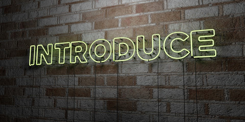 Naklejka premium INTRODUCE - Glowing Neon Sign on stonework wall - 3D rendered royalty free stock illustration. Can be used for online banner ads and direct mailers..