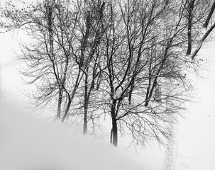 Fototapeta na wymiar Diagonal black and white winter windowsill with trees background