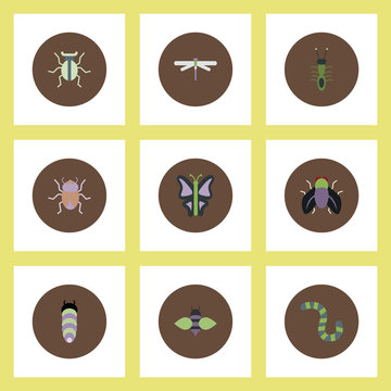 Collection of stylish vector icons in colorful circles insects