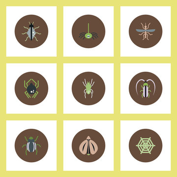 Collection of stylish vector icons in colorful circles insects