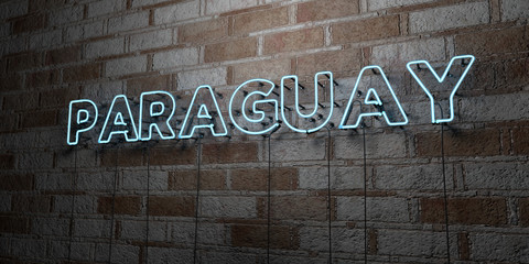 PARAGUAY - Glowing Neon Sign on stonework wall - 3D rendered royalty free stock illustration.  Can be used for online banner ads and direct mailers..