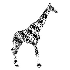 The giraffe in negative rectangles on white background  