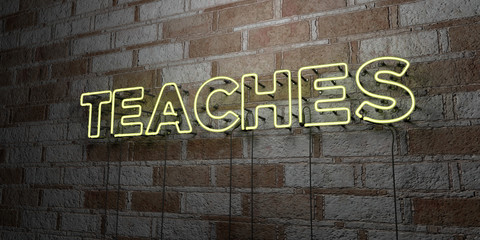 TEACHES - Glowing Neon Sign on stonework wall - 3D rendered royalty free stock illustration.  Can be used for online banner ads and direct mailers..