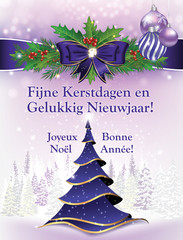 Bilingual greeting card:  Merry Christmas and Happy New Year (Fijne Kerstdagen en Gelukkig Nieuwjaar / Joyeux Noel et une Bonne Annee! ) - Dutch en French language greeting card for winter holiday. 