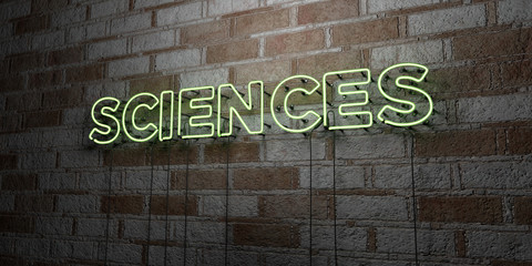 SCIENCES - Glowing Neon Sign on stonework wall - 3D rendered royalty free stock illustration.  Can be used for online banner ads and direct mailers..