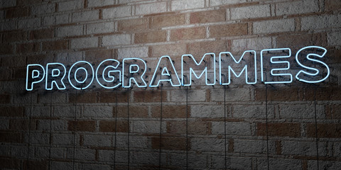 PROGRAMMES - Glowing Neon Sign on stonework wall - 3D rendered royalty free stock illustration.  Can be used for online banner ads and direct mailers..