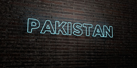 PAKISTAN -Realistic Neon Sign on Brick Wall background - 3D rendered royalty free stock image. Can be used for online banner ads and direct mailers..