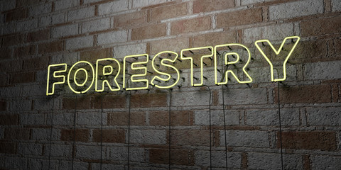 FORESTRY - Glowing Neon Sign on stonework wall - 3D rendered royalty free stock illustration.  Can be used for online banner ads and direct mailers..