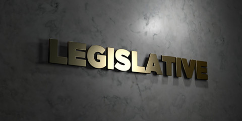 Legislative - Gold text on black background - 3D rendered royalty free stock picture. This image can be used for an online website banner ad or a print postcard.