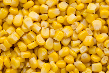 Bulk of yellow corn grains texture.