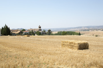Fototapeta premium Camino de Santiago from Pamplona to Puente la Reina