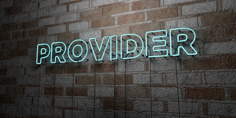 PROVIDER - Glowing Neon Sign on stonework wall - 3D rendered royalty free stock illustration.  Can be used for online banner ads and direct mailers..