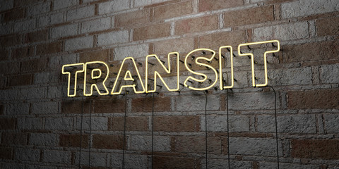 TRANSIT - Glowing Neon Sign on stonework wall - 3D rendered royalty free stock illustration.  Can be used for online banner ads and direct mailers..