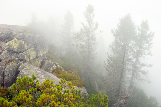 Fototapeta fog