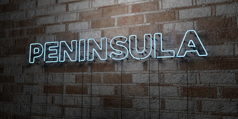 PENINSULA - Glowing Neon Sign on stonework wall - 3D rendered royalty free stock illustration.  Can be used for online banner ads and direct mailers..