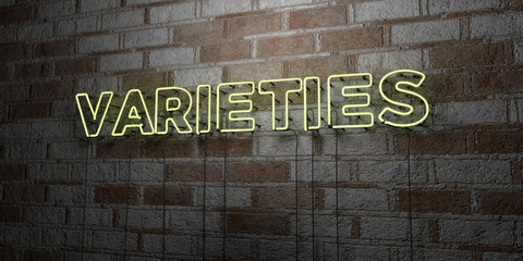 VARIETIES - Glowing Neon Sign on stonework wall - 3D rendered royalty free stock illustration.  Can be used for online banner ads and direct mailers..