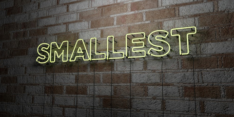 SMALLEST - Glowing Neon Sign on stonework wall - 3D rendered royalty free stock illustration.  Can be used for online banner ads and direct mailers..