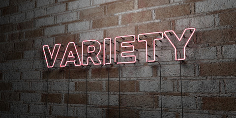 VARIETY - Glowing Neon Sign on stonework wall - 3D rendered royalty free stock illustration.  Can be used for online banner ads and direct mailers..