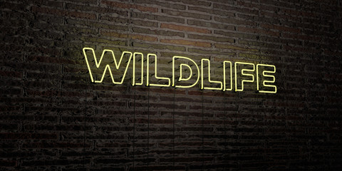 WILDLIFE -Realistic Neon Sign on Brick Wall background - 3D rendered royalty free stock image. Can be used for online banner ads and direct mailers..