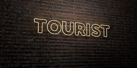 TOURIST -Realistic Neon Sign on Brick Wall background - 3D rendered royalty free stock image. Can be used for online banner ads and direct mailers..