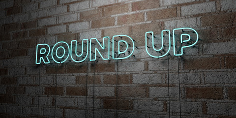 ROUND UP - Glowing Neon Sign on stonework wall - 3D rendered royalty free stock illustration.  Can be used for online banner ads and direct mailers..