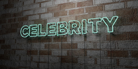 CELEBRITY - Glowing Neon Sign on stonework wall - 3D rendered royalty free stock illustration.  Can be used for online banner ads and direct mailers..