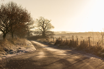 Frosty Countryside Lane