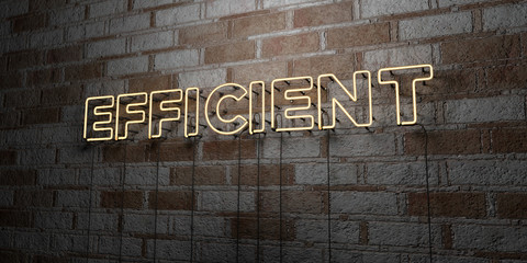 EFFICIENT - Glowing Neon Sign on stonework wall - 3D rendered royalty free stock illustration.  Can be used for online banner ads and direct mailers..