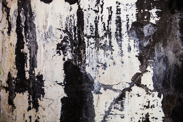 The wall texture with cracked plaster and whitewash © rootstocks