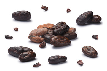Set of fermented dried cocoa beans (fruits of Theobroma cacao), husked, in pieces, in piles and alone. Clipping path for each object, shadows separated