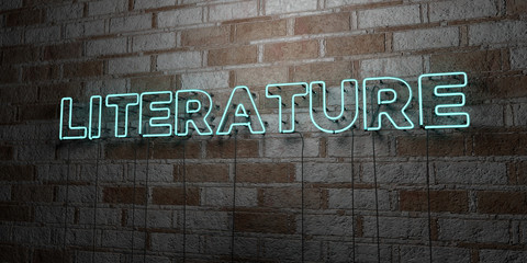 LITERATURE - Glowing Neon Sign on stonework wall - 3D rendered royalty free stock illustration.  Can be used for online banner ads and direct mailers..