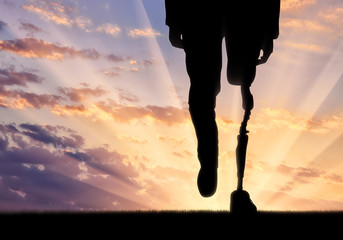 Leg with artificial limb