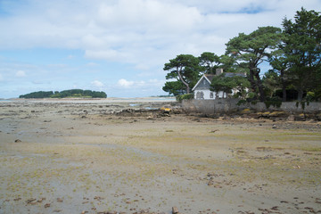 Küste mit Haus und Bäumen,  Trebeurden, Bretagne, Frankreich