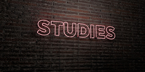 STUDIES -Realistic Neon Sign on Brick Wall background - 3D rendered royalty free stock image. Can be used for online banner ads and direct mailers..