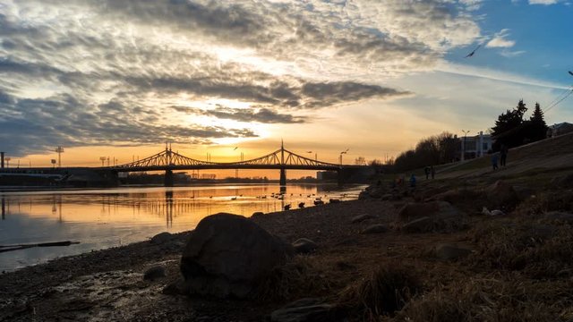 Ducks (Anatinae) and seagulls (Larus) fly and float on the river in the city at sunset in the background the old bridge in Tver, Russia