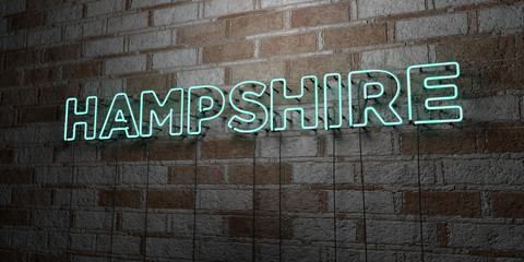 HAMPSHIRE - Glowing Neon Sign on stonework wall - 3D rendered royalty free stock illustration.  Can be used for online banner ads and direct mailers..
