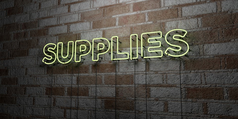 SUPPLIES - Glowing Neon Sign on stonework wall - 3D rendered royalty free stock illustration.  Can be used for online banner ads and direct mailers..