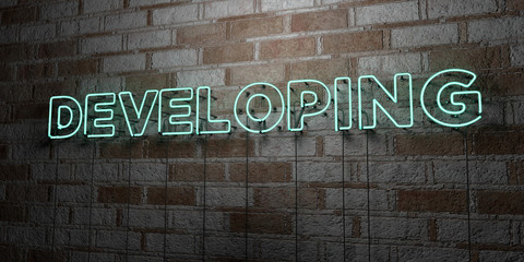 DEVELOPING - Glowing Neon Sign on stonework wall - 3D rendered royalty free stock illustration.  Can be used for online banner ads and direct mailers..