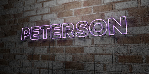 PETERSON - Glowing Neon Sign on stonework wall - 3D rendered royalty free stock illustration.  Can be used for online banner ads and direct mailers..