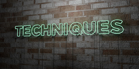 TECHNIQUES - Glowing Neon Sign on stonework wall - 3D rendered royalty free stock illustration.  Can be used for online banner ads and direct mailers..