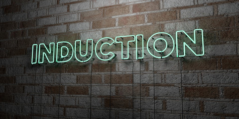 INDUCTION - Glowing Neon Sign on stonework wall - 3D rendered royalty free stock illustration.  Can be used for online banner ads and direct mailers..
