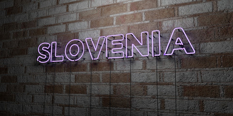 SLOVENIA - Glowing Neon Sign on stonework wall - 3D rendered royalty free stock illustration.  Can be used for online banner ads and direct mailers..