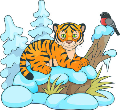 cute little tiger lying in the snow and looking at him birdie
